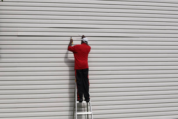 Reliable Maple Grove, MN Siding Solutions